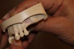 دوره جامع سینوس لیفت همراه با کارگاه عملی دكتر رضا عميد