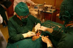 Second Osteology Symposium_114