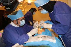 18 th International congress of Iranian association of oral and maxillofacial surgeons_13