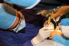 هجدهمين كنگره جراحان دهان، فك و صورت ايران - بهمن و اسفند 98