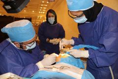 18 th International congress of Iranian association of oral and maxillofacial surgeons_17