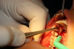 هجدهمين كنگره جراحان دهان، فك و صورت ايران - بهمن و اسفند 98