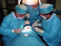 کنگره ایمپلانتهای دندانی SPI - بابل